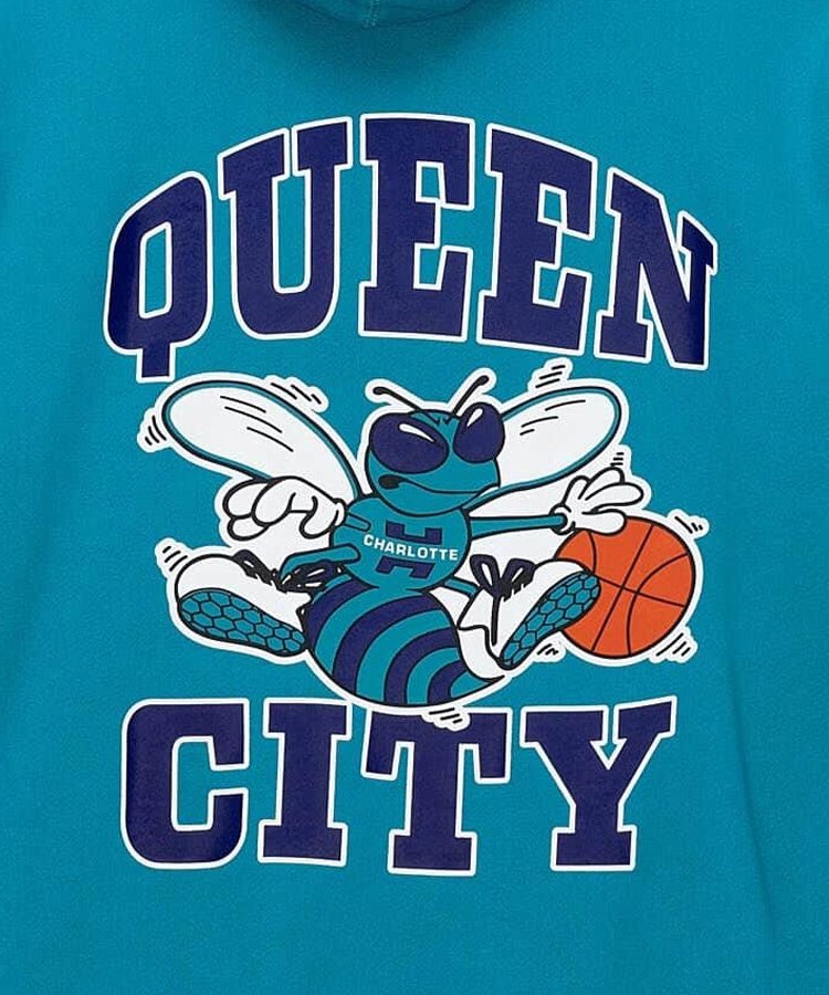 NBA Team Origins Fleece Hoody : Charlotte Hornets / ƥ [FPHD4849-CHOYYPPPHRBL]