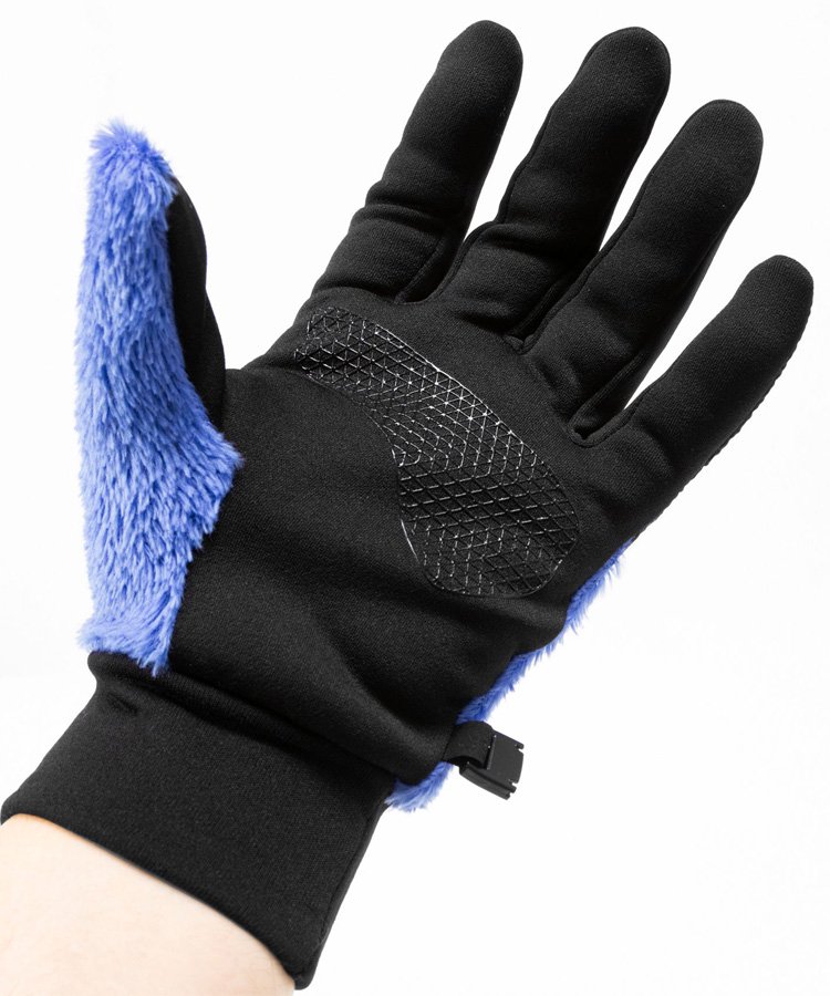 Denali Etip Glove (ǥʥꥤåץ) / TNF֥롼(TB) [NN62122] 