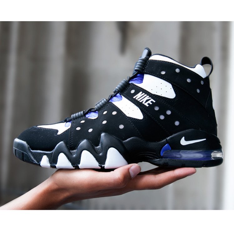 nike Air Max 2 CB 94 Purper