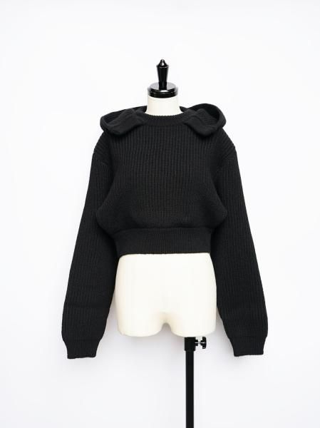 FUMIKA_UCHIDA HOODED PULL OVER  / BLACK