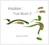 Intuition　：　True music２