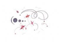 ȥɡIntuition Arut N