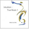 Intuition　：　True music１