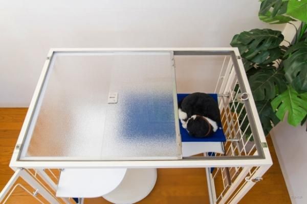 透明アクリルで圧迫感のない 白のキャットケージ。差し色のロイヤル