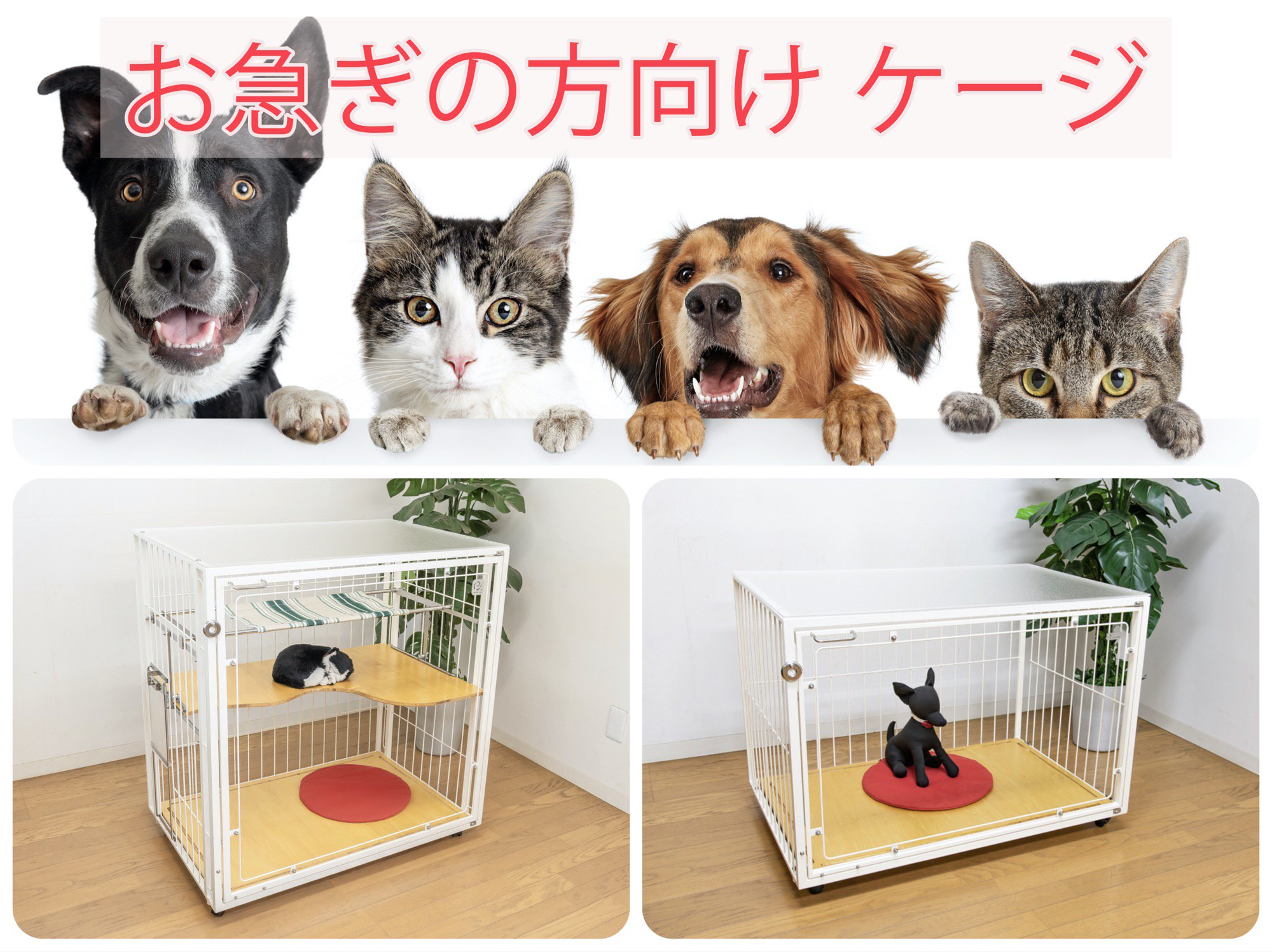 ブランド 新品 お値下げ❗️犬用ケージ(ドライブ等)ペットチューブ Egr