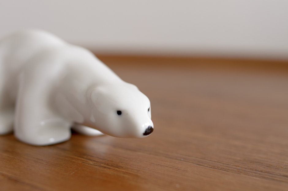 Arabia ӥ Polar bear  ֥/RAILI EEROLA