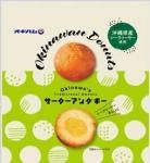 160g40g4