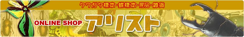 昆虫・クワガタ販売・外国産クワガタ販売・卸・カブトムシなどの通販専門店