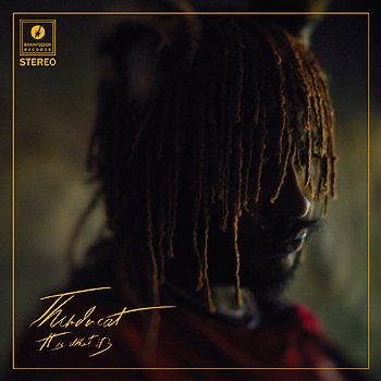 Thundercat / It Is What It Is （LP・限定Red Vinyl仕様・DLコード