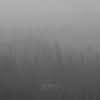 <img class='new_mark_img1' src='https://img.shop-pro.jp/img/new/icons12.gif' style='border:none;display:inline;margin:0px;padding:0px;width:auto;' />loscil / Lake Fire CD