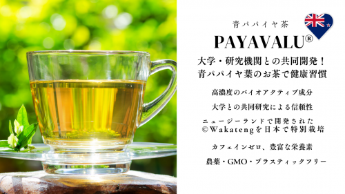PAPAYA LEAF TEAĥѥѥ