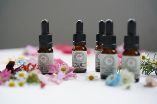 ˥塼 եå󥹡å40ʬ
ʤΤǺߤ򥵥ݡȤեå󥹤Ӥޤ
