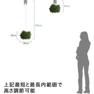 ディクラッセ（DI CLASSE）オーランド ペンダントランプ【照明