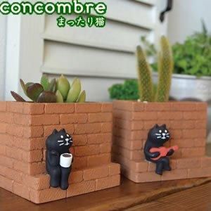 デコレ（DECOLE）コンコンブル（concombre）の通販 | Puolukka