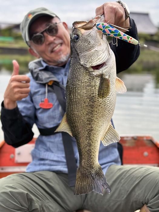Swing Momonga - Tsunami Lures Online Store