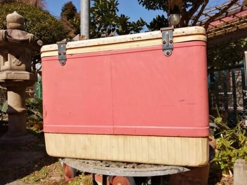 ヴィンテージ コールマン ピンククーラーボックス - 鎌倉