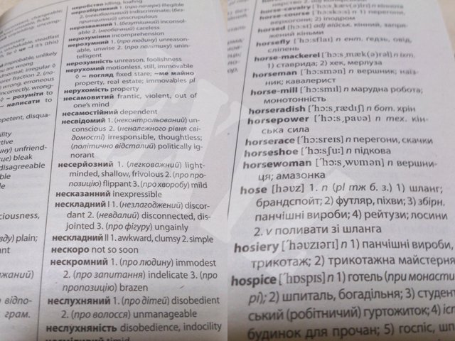 本ウクライナ語·英語辞典