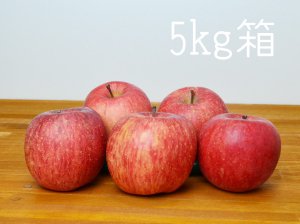 [りんごの王様] 信州産完熟サンふじ5kg箱