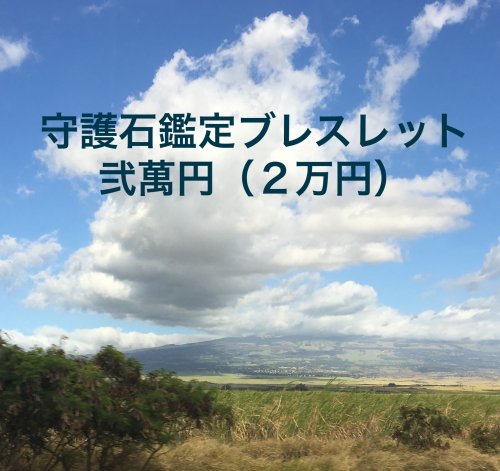 守護石鑑定ブレスレット ２０,０００円コース（受注から１０日以内でお