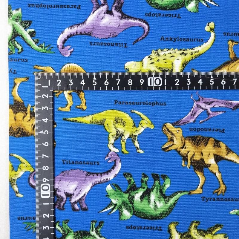 ハンドメイド 恐竜柄 オーダー受付中 入学セット 恐竜柄グリーン×デニム 入園入学4点セット＜レッスンバッグ