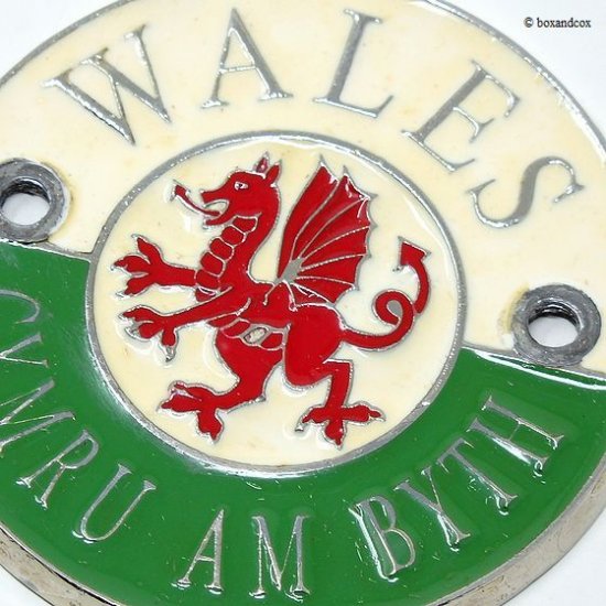 VINTAGE WALES CAR BADGE/英国 ウェールズ グリルバッジ - bac style