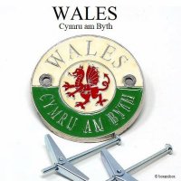 VINTAGE WALES CAR BADGE/ѹ 륺 Хå