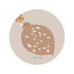 HOMIES��������5�祻�å�