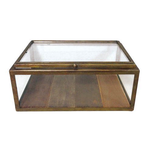 Glass collection box / ガラスコレクションボックス - デザイナーズ