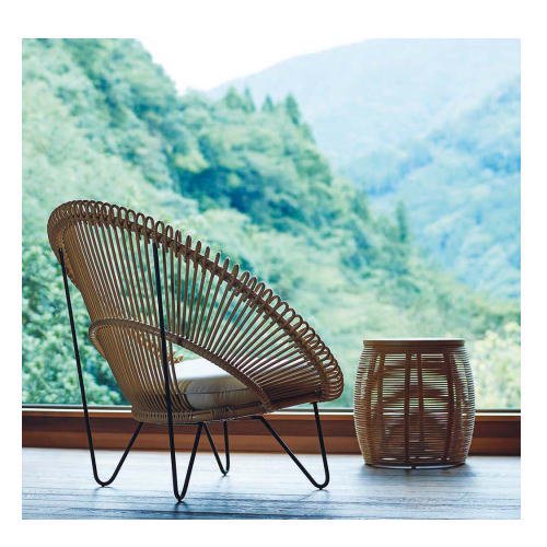 Roy discount cocoon chair