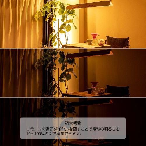 MANX LONGY PENDANT LIGHT / マンクスロンギーペンダントライト