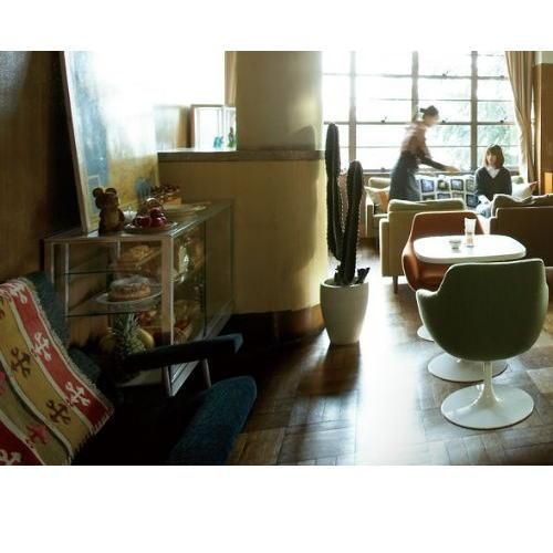 Glass Show Case Middle / ガラスショーケース ミドルタイプ - Garret