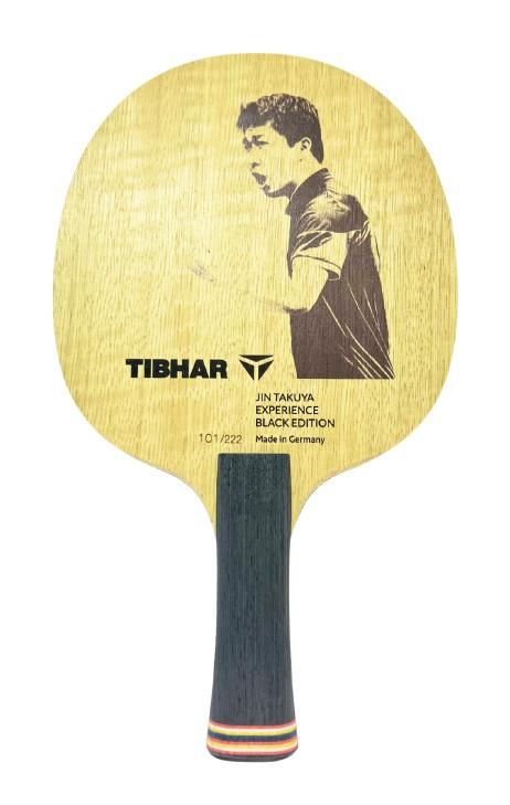 卓絶/Transcendence 日本語 FOIL 卓絶/Transcendence 日本語 FOIL 卓絶/Transcendence 日本語 FOIL 卓絶