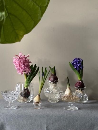 ガラスミニコンポート2 types - SARTORIA LIFE サルトリアライフ