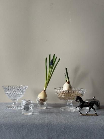 ガラスミニコンポート2 types - SARTORIA LIFE サルトリアライフ