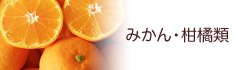 みかん・柑橘類