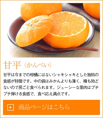 みかん・柑橘類 - はちやフルーツ