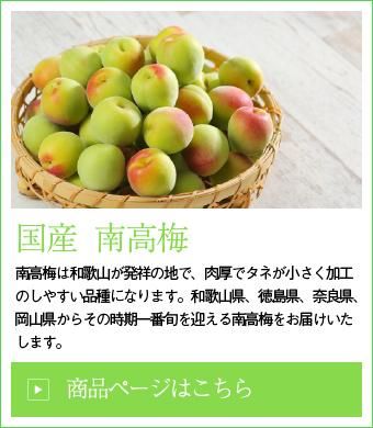 梅 - はちやフルーツ