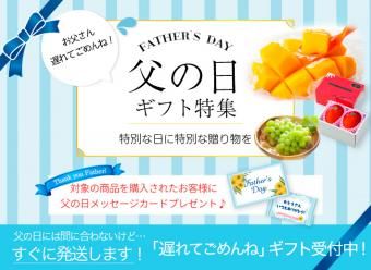 遅れてごめんね 父の日ギフト特集