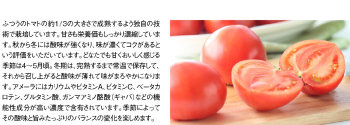 とってもあま?い 高糖度 アメーラトマト  即納 静岡県 長野県産  1箱約1kg 12玉前後