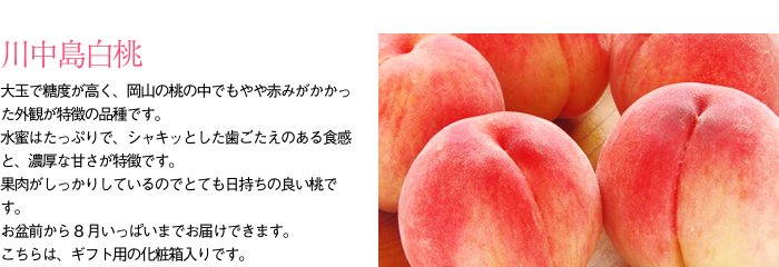 岡山の桃