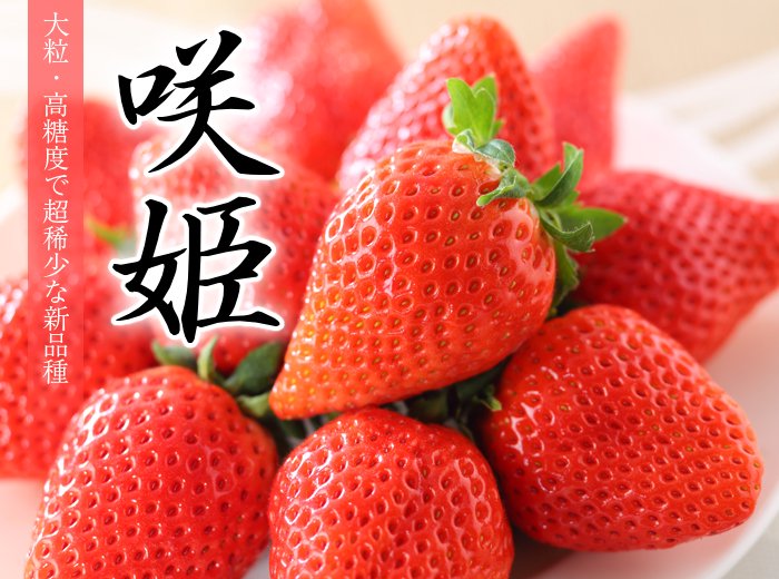佐賀県産 咲姫 超特大の大粒いちご 高糖度の超希少な新品種 限定生産 7 10粒 300gパック 2パック はちやフルーツ