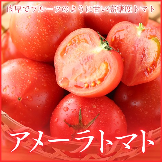 g2ケース　アメーラトマト　自信あります 高糖度　フルーツトマト　品質鮮度抜群！