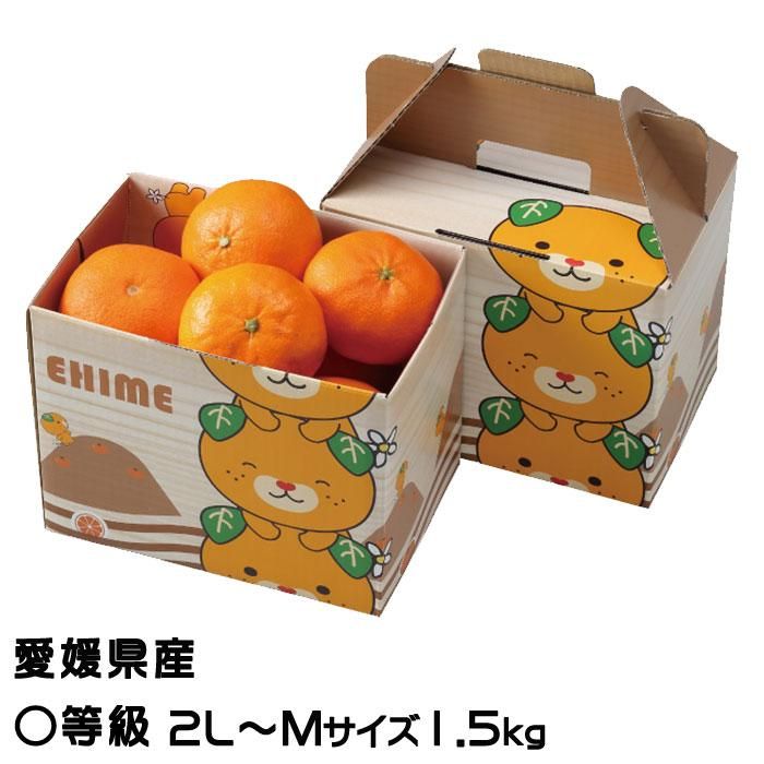 みかん せとか 等級 2l M 6 10玉 1 5kg みきゃん箱入り 愛媛県産 jaえひめ中央 中島選果場 ミカン 蜜柑 ギフト 贈り物 はちやフルーツ みかん せとか 等級 2l M 6 10玉 1 5kg みきゃん箱入り 愛媛県産 jaえひめ中央 中島選果場 ミカン 蜜柑 ギフト 贈り物 はちやフルーツ