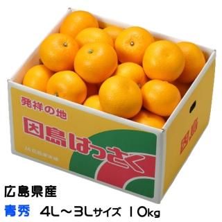 Ϥä Ȭ Ľ 4L3L 2025 10kg 縩 JAƻ ̾ ϥå ߤ ߥ 2ܤ缡ȯ