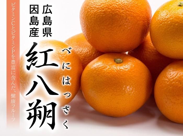 紅八朔 べにはっさく 赤秀 3L～Lサイズ 25～35玉 10kg 広島県産
