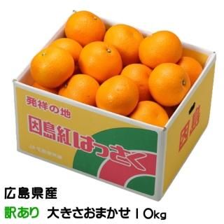 激安ショップ 食品 みかん・柑橘類 - はちやフルーツ 果物