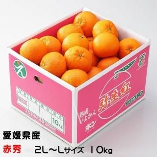 みかん・柑橘類 - はちやフルーツ