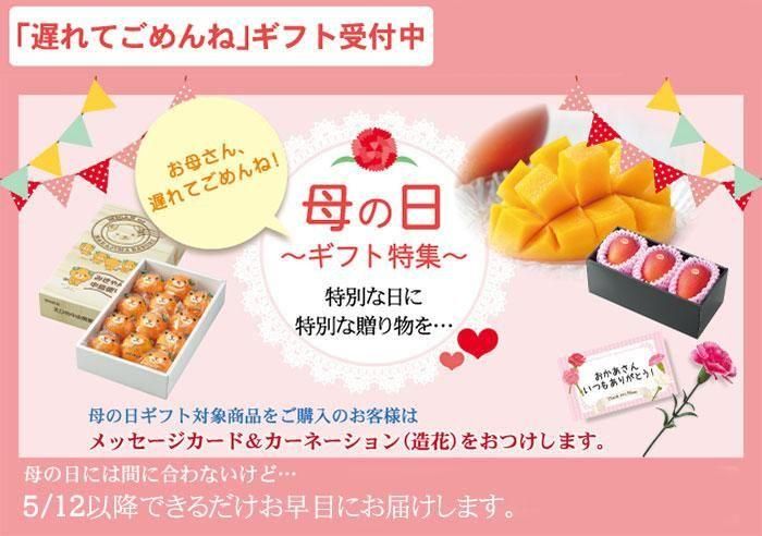 5 10 5 31の間にお届け 遅れてごめんね 母の日ギフト クラウンメロン 白等級 約2 4kg 2玉 静岡県産 送料無料 母の日 ギフト はちやフルーツ 5 10 5 31の間にお届け 遅れてごめんね 母の日ギフト クラウンメロン 白等級 約2 4kg 2玉 静岡県産 送料無料 母の日 ギフト はちやフルーツ