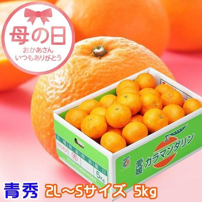 遅れてごめんね 母の日 2022 みかん カラマンダリン 青秀 2L~Sサイズ 5kg 完熟春みかん 愛媛県産 JAえひめ中央 中島選果場 贈り物 【5 月9日~5月31日までのお届け(日付指定不可)】 - はちやフルーツ 遅れてごめんね 母の日 2022 みかん カラマンダリン 青秀 2L~Sサイズ 5kg 完熟春みかん 愛媛県産 JAえひめ中央 中島選果場 贈り物 【5 月9日~5月31日までのお届け(日付指定不可)】 - はちやフルーツ