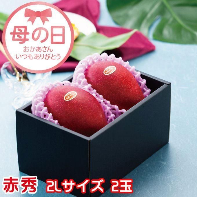 遅れてごめんね 母の日ギフト みやざき完熟マンゴー 赤秀 2l 350g以上 2玉 Ja宮崎経済連 宮崎県産 送料無料 はちやフルーツ 遅れてごめんね 母の日ギフト みやざき完熟マンゴー 赤秀 2l 350g以上 2玉 Ja宮崎経済連 宮崎県産 送料無料 はちやフルーツ